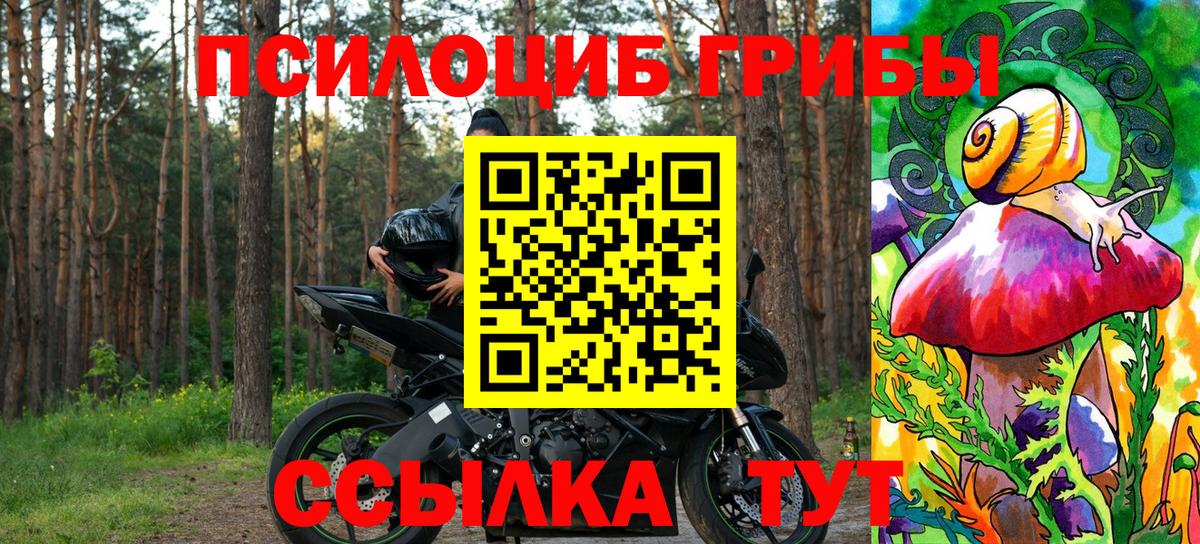 Галлюциногенные грибы Magic Shrooms  Псилоцибиновые грибы прущие грибы  Вход с VPN  Улан-Удэ 
